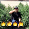 FUNKSTA.714