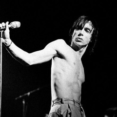 Just a Kid who Wants to be a Punk Rocker.