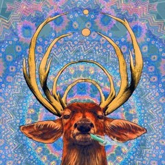 Cedric ST-louis Hodgins