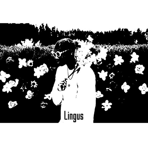 Lingus.Vibes’s avatar