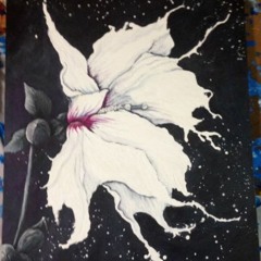 Shahibiscus