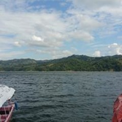 Leafar