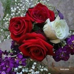 زهره امل امل