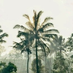 David Iztambul - Cinto Sapilin Tigo.mp3