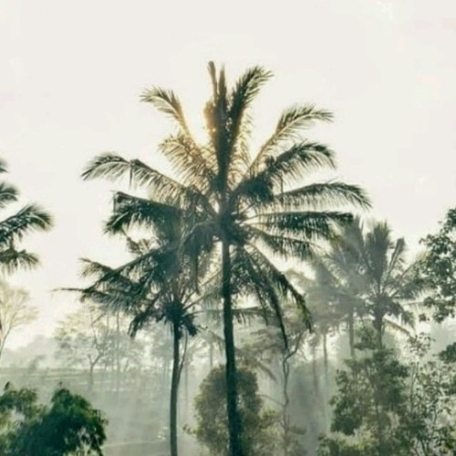 David Iztambul - Cinto Sapilin Tigo.mp3