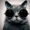 Rendy P