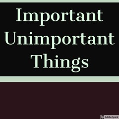Important Unimportant Things