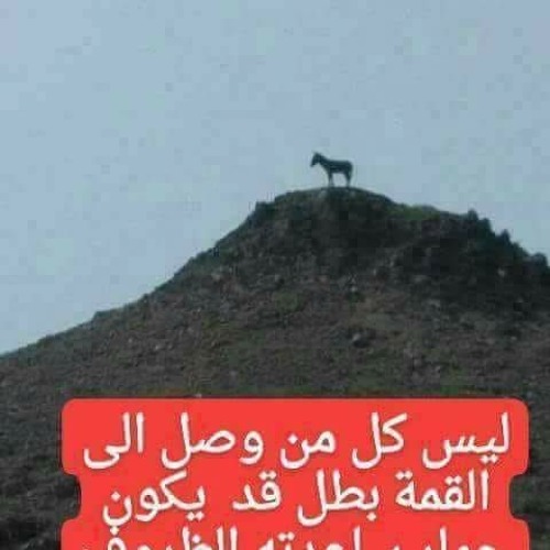 el nas ajnas