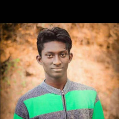Karthik Snicker's