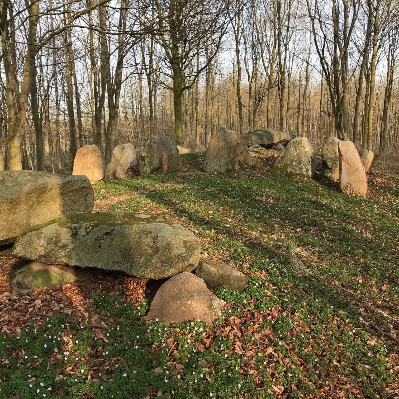 Pingpong Podcast af Pingpong Beach Boys Production