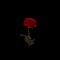 ThisIsRIASS/xCLBRTN