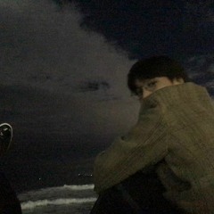 WISEL