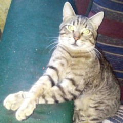 Gaby