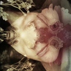 Some Guy and the Plural Nouns