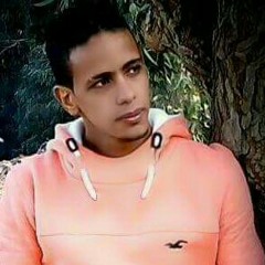 hassan