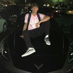Young B dog