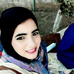 Dina M ELsherif