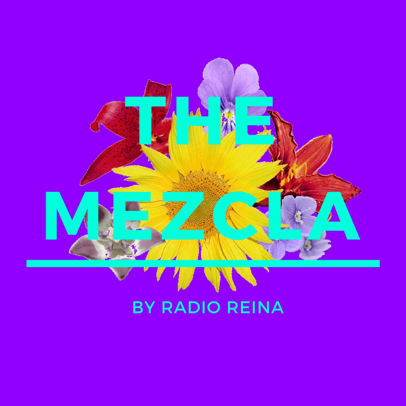 The Mezcla podcast artwork