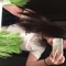 SHAE GOLE