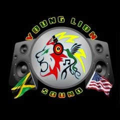 YOUNG LION SOUND
