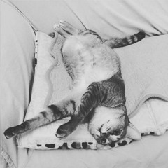 Luna Lo