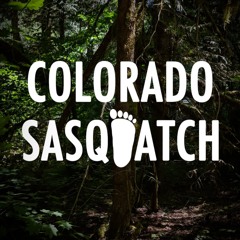 Colorado Sasquatch