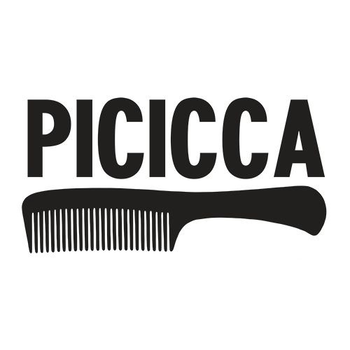 PiciccaDischi’s avatar