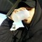 TracklistPro