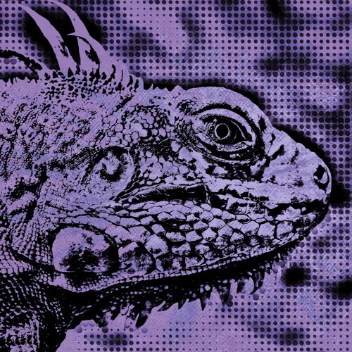 Reptilian Connection’s avatar