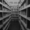Norman Records