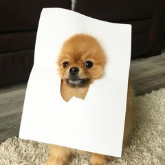 jennymaymay