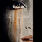 XXXAftertaste(Unknown Aftertaste)