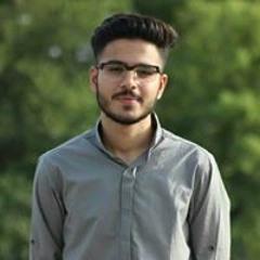Ali Nisar