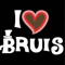 bruisgamer 380