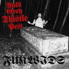 Auld Grey Thistle Pest