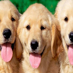 Sunspots - Jeremy Blake