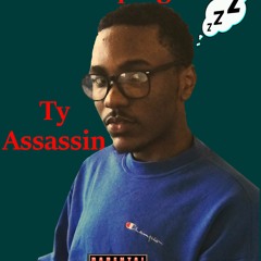 Ty Assassin