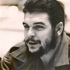 Walid Tawfeik