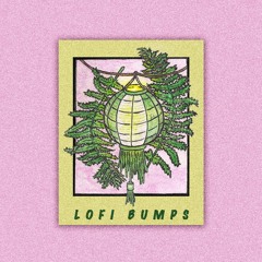 lofi.bumps