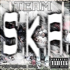 TeamSKAMusic