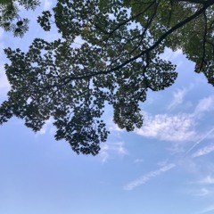 PseudonymeVéridiquementRévolutionnaire