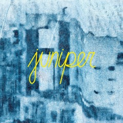 Juniper