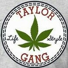 TAYLOR GANG!!!