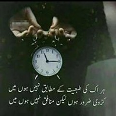 Hilal Shah