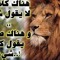 أرد ني