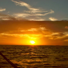 Johnny 'Angel' Anthony