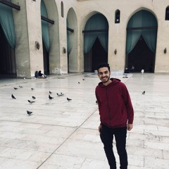 Mostafa G.Saber