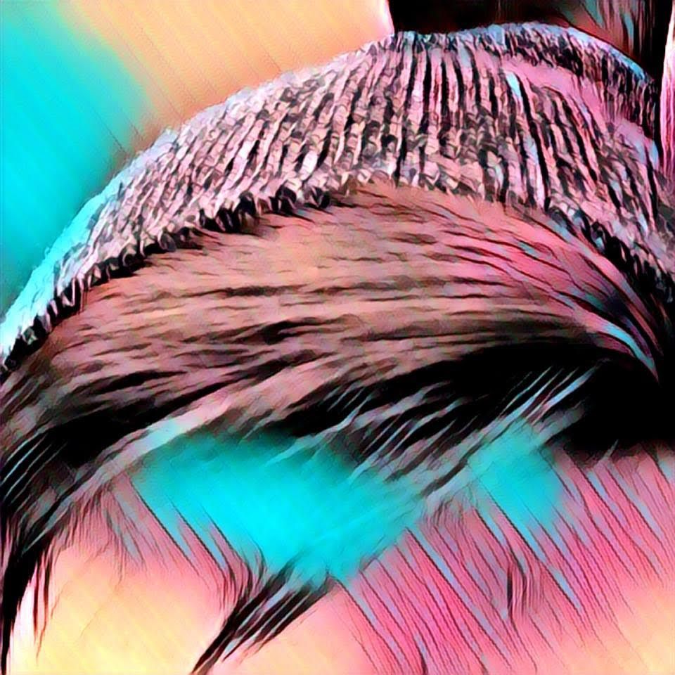 joshuapflu podcast artwork