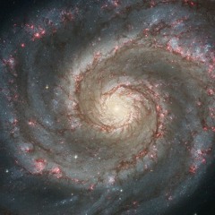 Quran - Maher Al Muaiqly