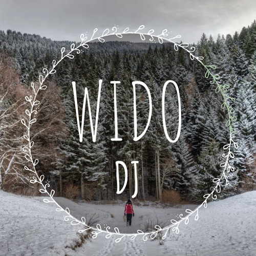 Wido dj’s avatar